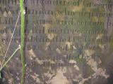 image of grave number 141374